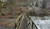 Trail Walking Houffalize - rando engreux 11-03-2023 - Photo 9