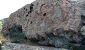 Trail Walking Monticello - boucle d'arbo - Photo 12