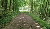 Randonnée Marche Reugny - Découverte de la commune de Reugny - Photo 8