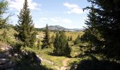 Percorso Marcia Châtillon-en-Diois - Cirque d'Archiane - Les Hauts Plateaux du Vercors - Photo 16