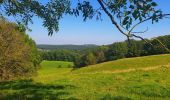 Tour Wandern Gesves - Balade à Mozet - Photo 6