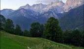 Tocht Te voet Kranjska Gora - Galerše across Robe to Srednji Vrh and to Gozd Martuljek 2 - Photo 10