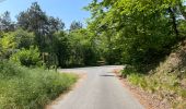 Trail Walking Compiègne - en Forêt de Compiègne_50_les Routes des Beaux Monts, de Morpigny et des Nymphes - Photo 10