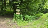 Tocht Stappen Les Granges-le-Roi - Forêt domaniale de Dourdan  - Photo 10