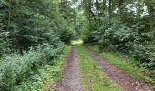 Tocht Lopen Geestland - rondje bos een meer - Photo 9