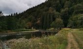 Tour Wandern Bouillon - Dohan 12km 2020  - Photo 5