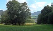 Tour Zu Fuß Ludwigsthal - Vyhlídka na Zámecké hoře a zřícenina hradu Fürstenwalde - Photo 3