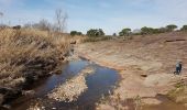 Tour Wandern La Garde-Freinet - LA GARDE-FREINET - LE PONT ROMAIN - Photo 14