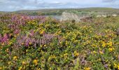 Tocht Stappen West Cork - Ardgroom -  Eyeries - Photo 17