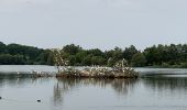 Randonnée Marche Couëron - Nantes Lac de Beaulieu  - Photo 6