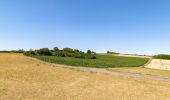 Tour Zu Fuß Warburg - Klima-Erlebnis-Route Hardehausen - Photo 5