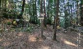 Randonnée Marche Annecy - A la découverte des Chalets de Barbenoire - Photo 9