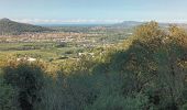 Trail Walking La Crau - château d Hyères-16-09-22  - Photo 2