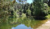 Randonnée A pied Guadarrama - [SL-M 44006] Bosque plateado - Photo 2