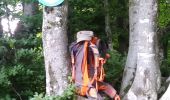 Trail Walking Sentheim - Baerenkopf  - Photo 16