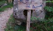 Trail Walking Le Saix - Le Fai - Lac de Peyssier - Photo 2