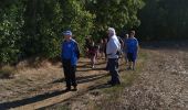 Trail Walking Andenne - balade Seilles - Photo 7