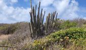 Excursión Senderismo La Trinité - Presqu'île de la caravelle  - Photo 16