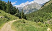 Randonnée Marche Pralognan-la-Vanoise - Pralognan 2025-07-16 Les Prioux A/R - Photo 5