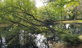 Trail Walking Auderghem - Oudergem - Rouge-Cloître - Etangs Mellaerts - Photo 3