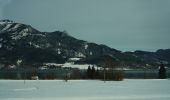 Tour Zu Fuß Strobl - Seeuferweg Strobl-Abersee - Photo 8