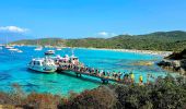 Randonnée Marche Santo-Pietro-di-Tenda - Le sentier côtier entre la plage de Seleccia et celle de Lotu - Photo 1