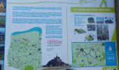 Trail Walking Saint-Marcan - GR_34_AB_02_St-Marcan_Hirel_20230319 - Photo 9
