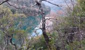 Trail Walking Quinson - verdon basse gorge via ravin ste marguerite et chapelle ste marguerite  - Photo 8