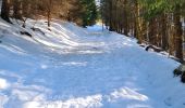 Randonnée Raquettes à neige Murat-le-Quaire - la Banne par le tenon - Photo 5