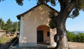 Randonnée A pied Ceranesi - Pontedecimo - Gaiazza - Santuario Madonna della Guardia - Photo 8