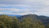 Excursión Senderismo Signes - Plateau de la Limate en partant de Siou Blanc - Photo 16