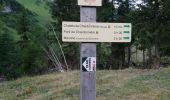 Trail Walking Morzine - boucle lac des mines d'or, chardonnerai, freterol - Photo 3