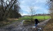 Tocht Stappen Overijse - Tour Genval Rixensart 4/2/21 - Photo 10