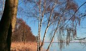 Tocht Te voet Neustadt am Rübenberge - Mardorf Rundwanderweg M2 (Promenadenpfad) - Photo 2