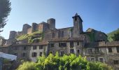 Excursión Senderismo Brousse-le-Château - Boucle au départ de Brousse-le-château - Photo 4