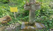 Tour Wandern Châlonvillars - Châlonvillars - le menhir - Genêchier - Mandrevillars - Buc - fort d'Essert  - Photo 6