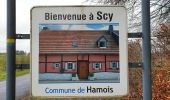 Tocht Stappen Hamois - La Promenade du Berceau du Bocq - Photo 7