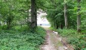 Trail Walking ORMOY-VILLERS - Grand Ormoy-Villers tour - Photo 14