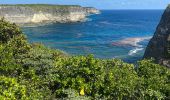 Trail Trail Anse-Bertrand - La mahaudiere - Photo 2