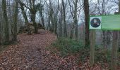 Tour Wandern Rochefort - Lesse resteigne pupitre ermitage  - Photo 1