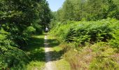 Trail Walking Garancières - tacoigniere  - Photo 5