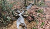 Excursión Senderismo Spa - A la découverte de Spa et de son lac 🥾 - Photo 9