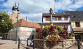 Randonnée Marche Molsheim - Molsheim - Fort de Mutzig - Balade dans les vignes - Photo 12