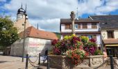 Tocht Stappen Molsheim - Molsheim - Fort de Mutzig - Balade dans les vignes - Photo 12