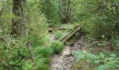 Tocht Stappen Meyrueis - Meyruies - Gorges de la Jonte - Grotte de Dagilan - Photo 16