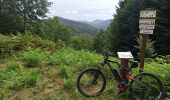 Trail Mountain bike Saint-Quirin - Saint Quirin 27 8 2020 - Photo 4