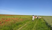 Tocht Stappen Étampes - base de loisirs d'Etampes - Photo 4