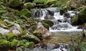 Trail Walking Vecoux - 07-06-21 Reherrey- chalet des meules- col de xiard- chalet de l'avuxon- source chaude - Photo 16