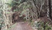 Trail Walking Chazelles-sur-Lavieu - Randonnée au dessus de Chazelles sur Lavieu  - Photo 14