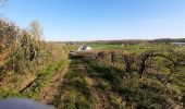 Tour Wandern Havelange - Gros-Chêne  Méan  Maffe - Photo 3